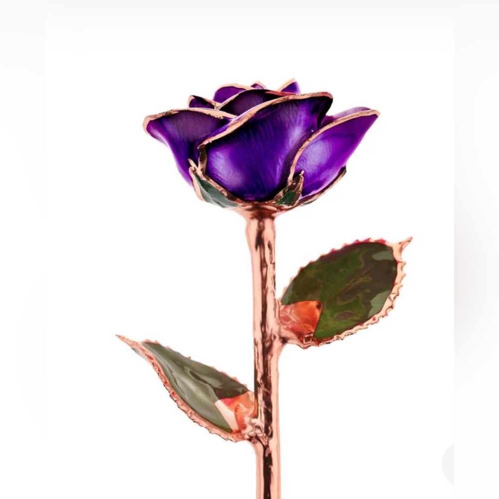 Steven Singer- Purple and 24k Gold Rose